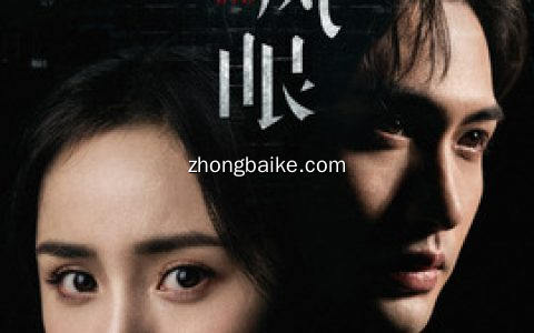 《暴风眼》剧情介绍(1-40全集)大结局_演员表_分集剧情_主题曲